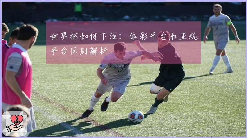 世界杯如何下注：体彩平台和正规平台区别解析