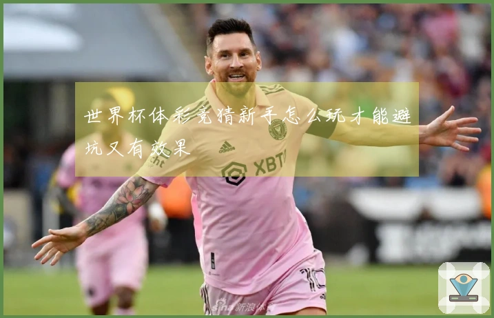世界杯体彩竞猜新手怎么玩才能避坑又有效果