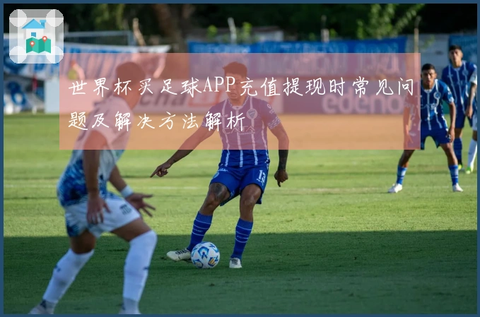 世界杯买足球APP充值提现时常见问题及解决方法解析