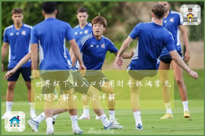 世界杯下注入口使用时手机端常见问题及解决方法详解
